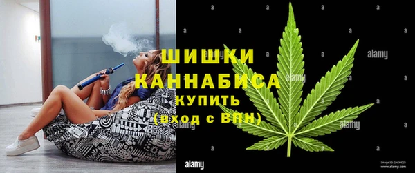 ПСИЛОЦИБИНОВЫЕ ГРИБЫ Ладушкин