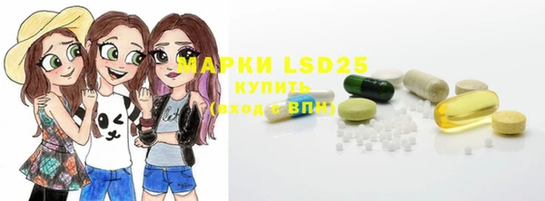 ПСИЛОЦИБИНОВЫЕ ГРИБЫ Ладушкин