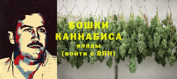 2c-b Лагань