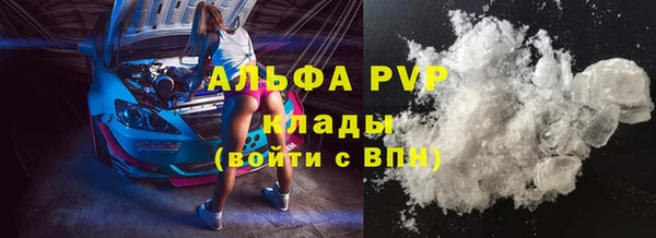 ПСИЛОЦИБИНОВЫЕ ГРИБЫ Ладушкин