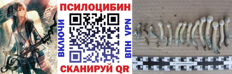 Галлюциногенные грибы GOLDEN TEACHER  kraken ТОР  Поронайск 